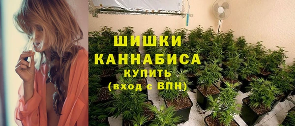 гашик Михайловка