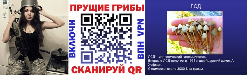 блэк спрут где можно купить Братск Галлюциногенные грибы MAGIC MUSHROOMS