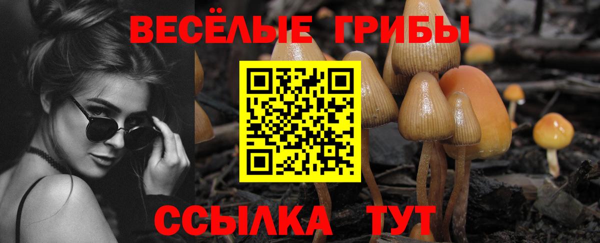 Псилоцибиновые грибы GOLDEN TEACHER  Вход с VPN  Братск 